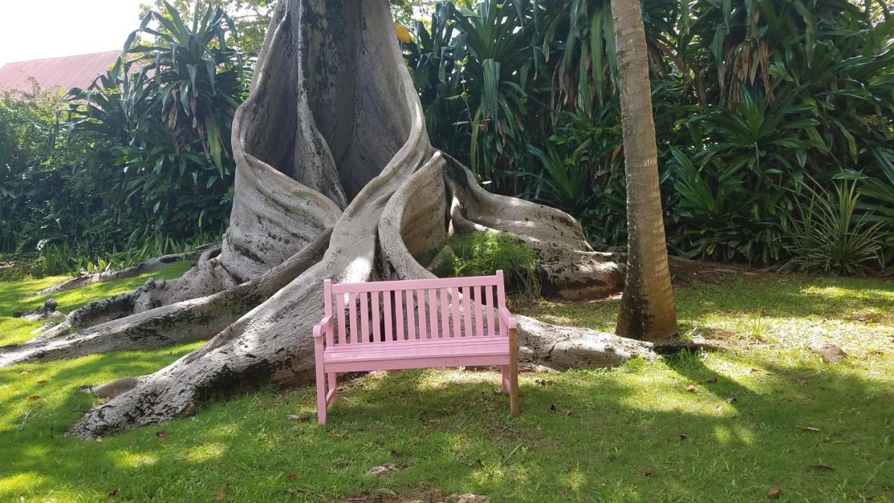 Llantrissant Beachcliff Villa Negril Ngoại thất bức ảnh